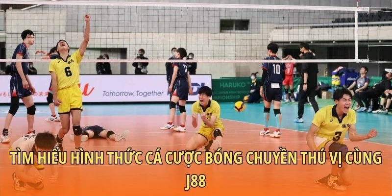 Tìm hiểu hình thức cá cược bóng chuyền thú vị cùng J88