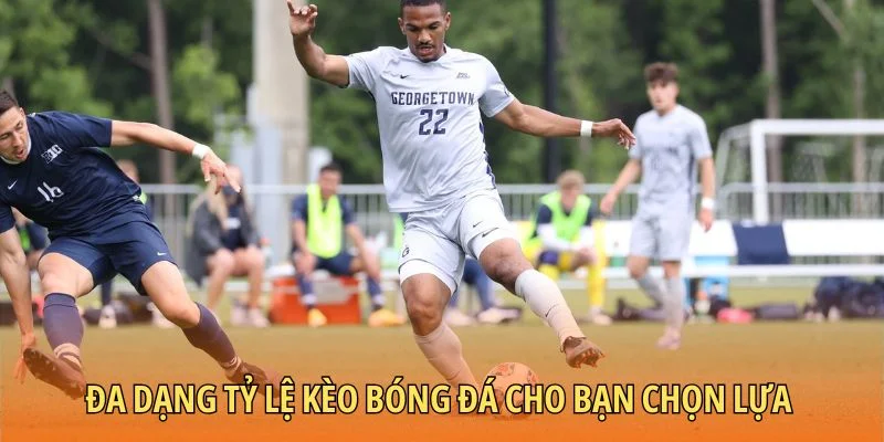 Đa dạng tỷ lệ kèo bóng đá cho bạn chọn lựa