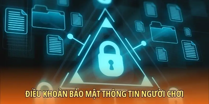 Điều khoản bảo mật thông tin người chơi