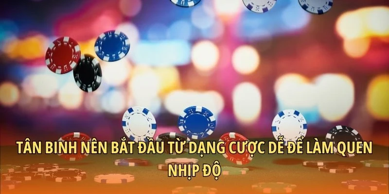 Tân binh nên bắt đầu từ dạng cược dễ để làm quen nhịp độ